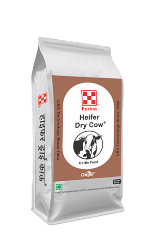 Cargill Heifer Dry Cow